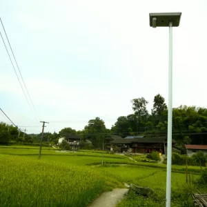 Solar-Street-Lighting-Project-Hongjiang-Hunan-Province-1-1
